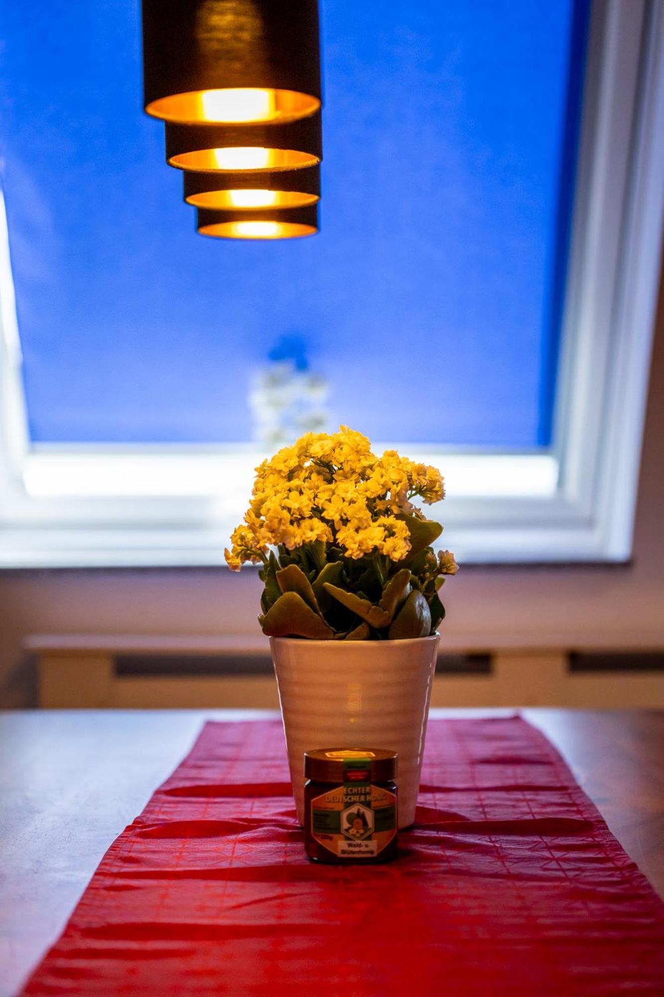Renatas Ferienwohnung ザスバッハヴァルデン エクステリア 写真